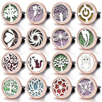 Car Fragrance Diffuser