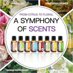 Essential Oils Set