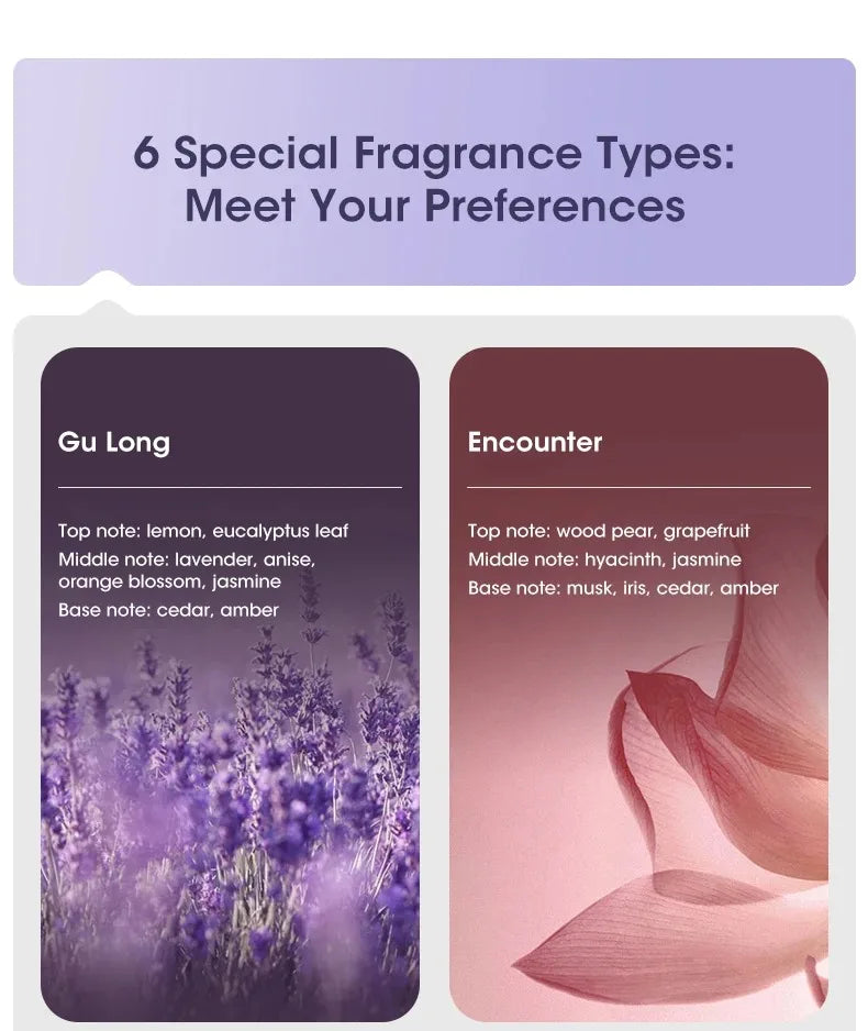 Mini Aromatherapy Air Purifier