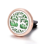 Car Fragrance Diffuser