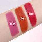 Smoky Rose Blush Stick