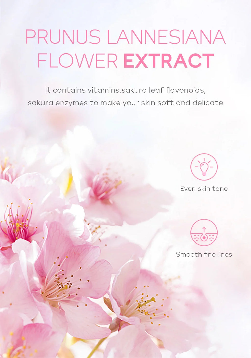 Sakura Face Exfoliating Gel